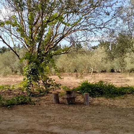 Casa Margherita *
