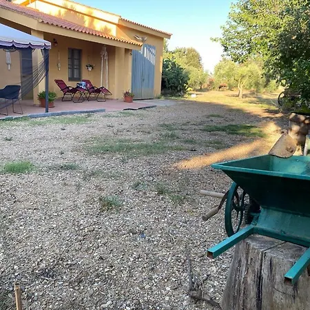 Casa Margherita Διαμέρισμα